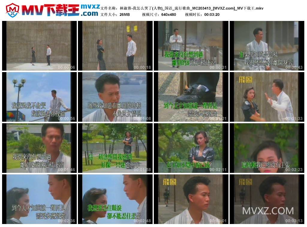 林淑蓉-我怎么哭了(人物)_国语_流行歌曲_MC203413